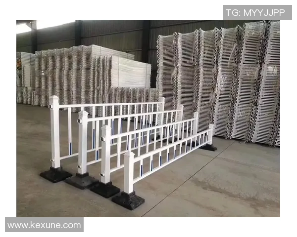 交通护栏在城市道路安全中的重要作用与设计优化研究